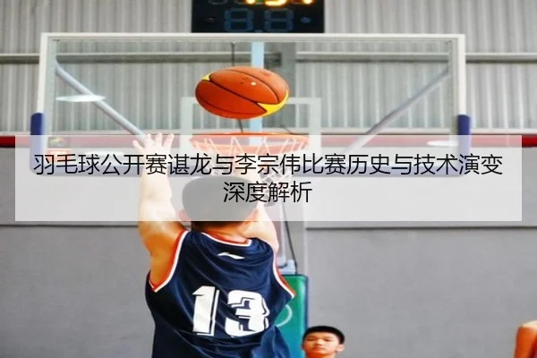 羽毛球公开赛谌龙与李宗伟比赛历史与技术演变深度解析
